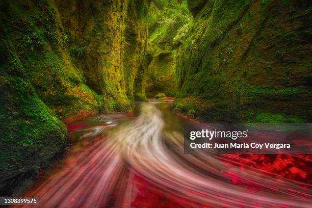 the devil’s pulpit - finnich glen (scotland, united kingdom) - pulpit stock pictures, royalty-free photos & images