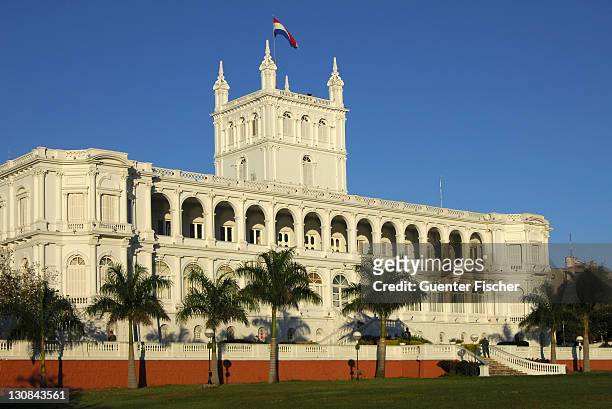 president palace asuncion paraguay - paraguay palace stock pictures, royalty-free photos & images