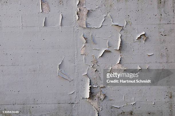grey paint peeling off a concrete wall, humidity - peeling off bildbanksfoton och bilder