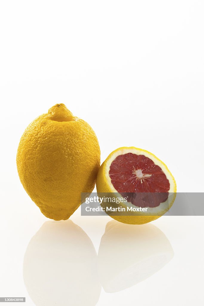 Symbolic image, genetically modified lemon, lemon with genes of a grapefruit