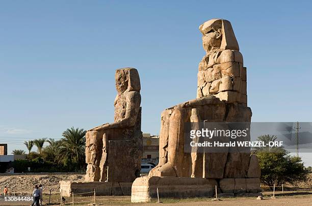 colossi of memnon, guard figures, thebes west, luxor, egypt, africa - colossi of memnon stock pictures, royalty-free photos & images