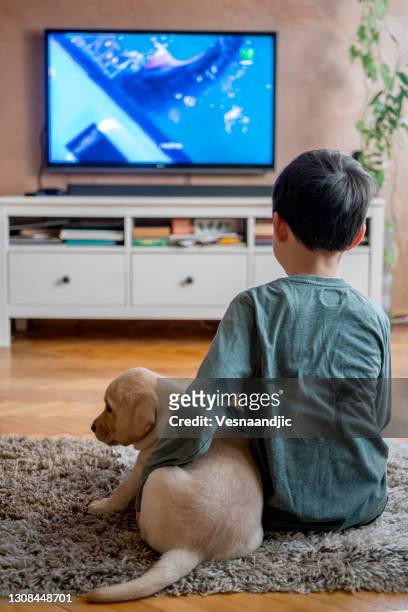 598 Watching Tv Cartoon Photos and Premium High Res Pictures - Getty Images