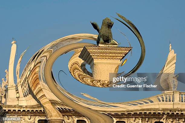 34 Cat Contorted Stock Photos, High-Res Pictures, and Images - Getty Images