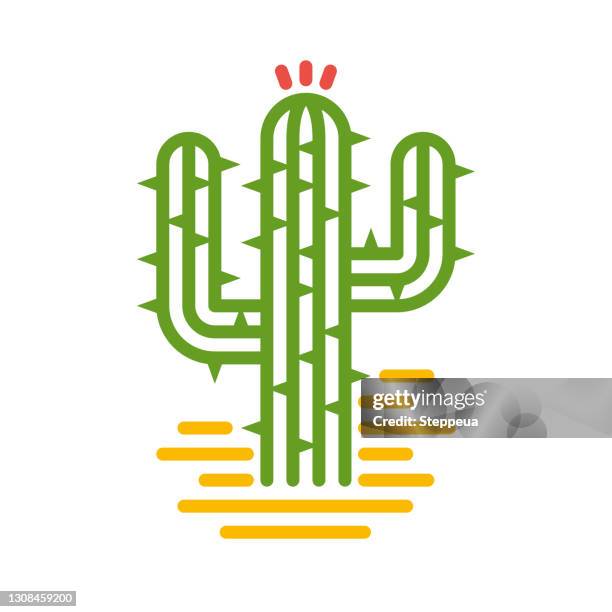 kaktus-liniensymbol - cactus vector stock-grafiken, -clipart, -cartoons und -symbole