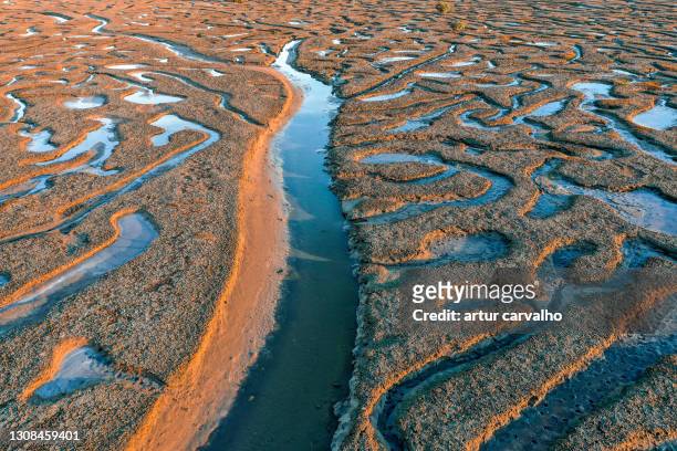 low tide patterns from above, abstract landscape background - tide foto e immagini stock