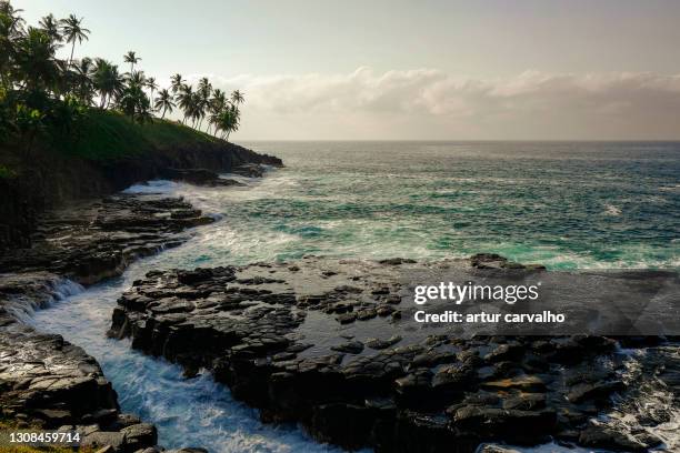 tropical island of são tomé beach background - são tomé e principe imagens e fotografias de stock