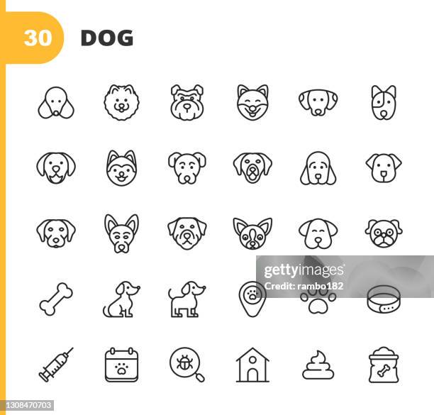 hund linie icons. bearbeitbarer strich. pixel perfekt. für mobile und web. enthält solche symbole wie hund, welpe, haustier, haustier, husky, labrador, pommern, mops, golden retriever, deutscher schäferhund, bulldogge. - animal friends stock-grafiken, -clipart, -cartoons und -symbole