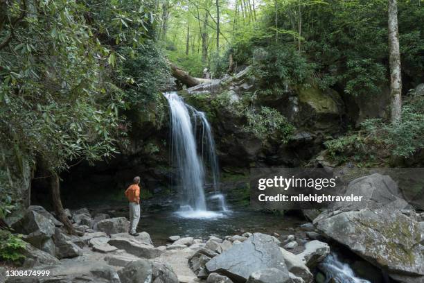 hiker explores great smoky mountains national park waterfall tennessee - great smoky mountains stock pictures, royalty-free photos & images