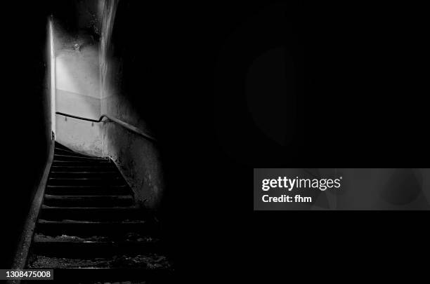 old dark staircase in an abandoned building - tree house stockfoto's en -beelden