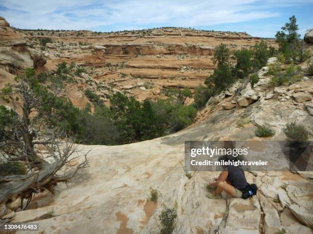 frau wandert fish creek canyon cedar mesa bear ears national monument buttes utah - bears ears national monument stock-fotos und bilder