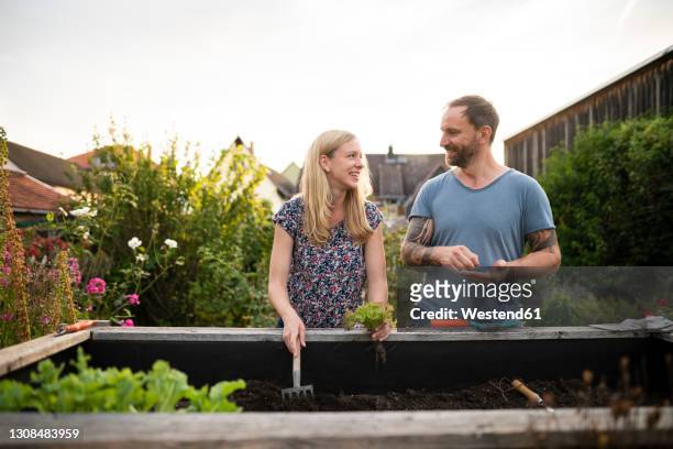 smiling couple doing gardening while discussing at garden - companion planting stock pictures, royalty-free photos & images