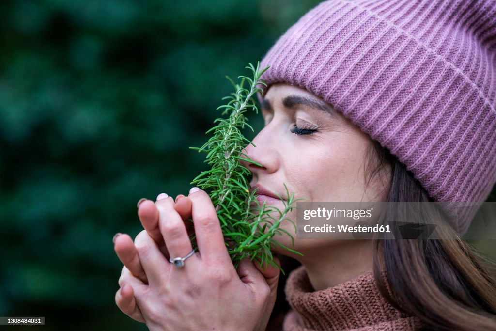 Portrait of beautiful woman wearing pink knit hat smelling fresh rosemary with closed eyes