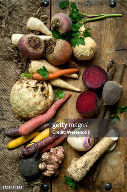 winter vegetables on rustic wooden background - jerusalem artichoke stock pictures, royalty-free photos & images