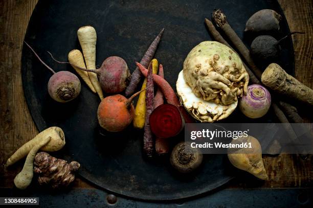 winter vegetables on rustic metal background - salsify stock-fotos und bilder