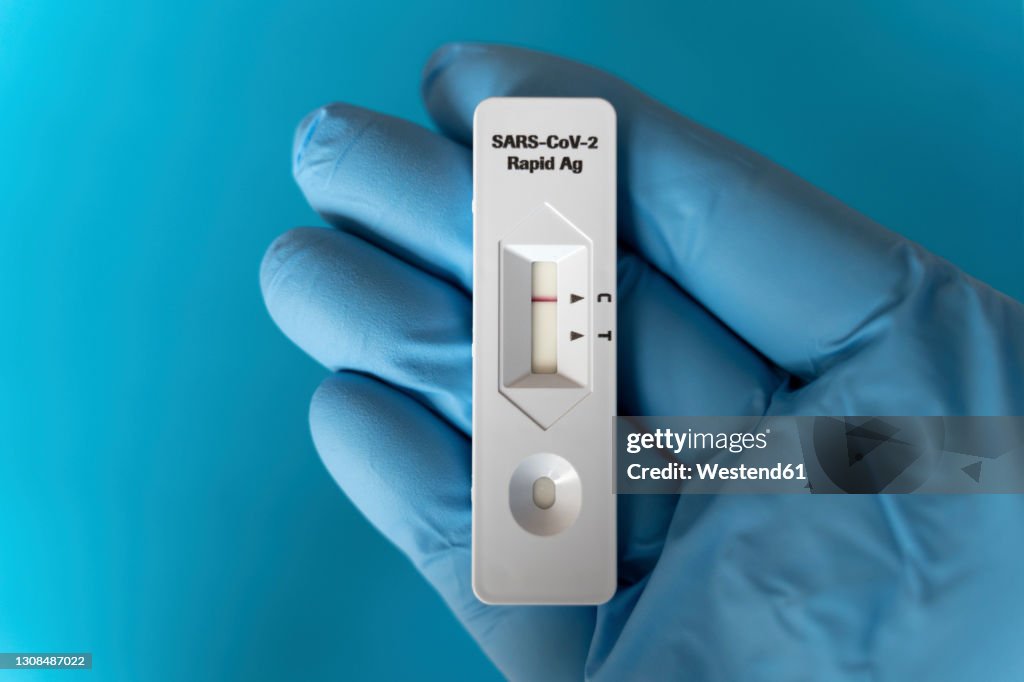 Hand of person wearing protective glove holding rapid diagnostic test for COVID-19