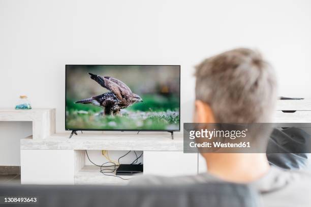 mature man watching television in living room - tv on wall stockfoto's en -beelden