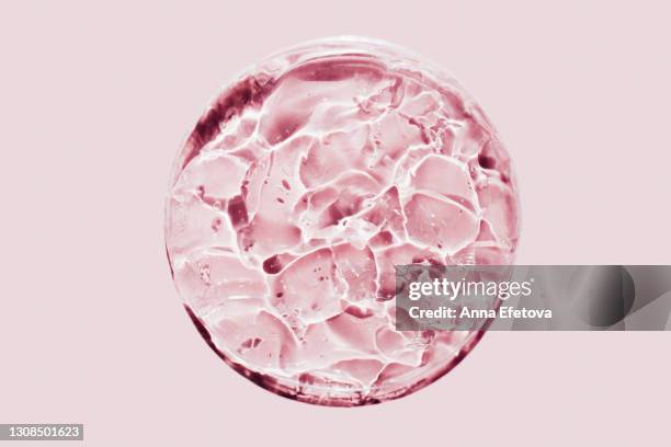 close-up of petri dish with natural cosmetic gel on pink background. flat lay style. cosmetic banner. concept of trendy procedures of the year - petri dish stock pictures, royalty-free photos & images