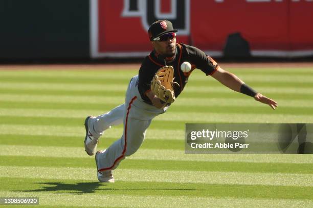 LaMonte Wade Jr. #31 of the San Francisco Giants makes a diving catch to record an out in the seventh inning against the Chicago White Sox during the...