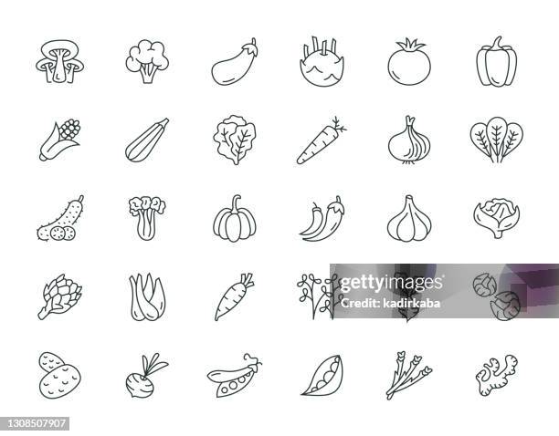 ilustrações, clipart, desenhos animados e ícones de conjunto de ícones da série de linhas finas vegetais - cauliflower