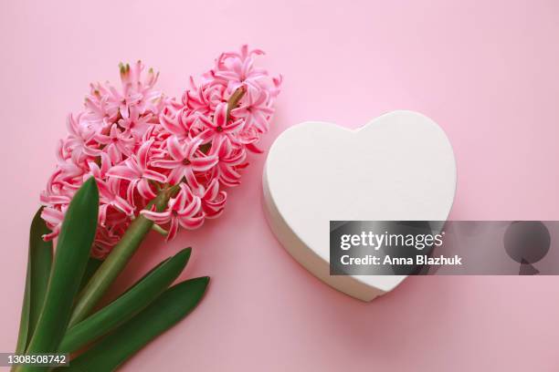 hyacinth pink flowers, white gift box in shape of heart over pink background - heart box ribbon stockfoto's en -beelden