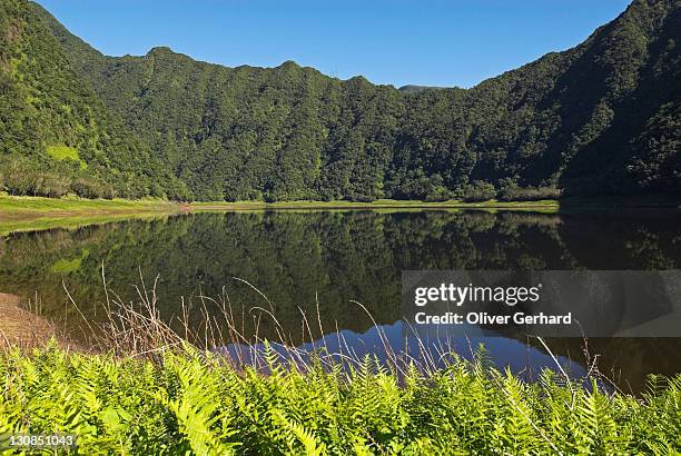 mountains in the valley of grand etang, la reunion island, france, africa - grand etang lake stock pictures, royalty-free photos & images