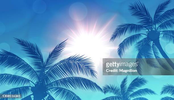 illustrazioni stock, clip art, cartoni animati e icone di tendenza di palme e sfondo blu sole - estate