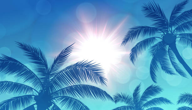 palm trees and sun blue background - summer background stock illustrations