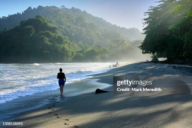 grande riviere beach - trinidad stock-fotos und bilder