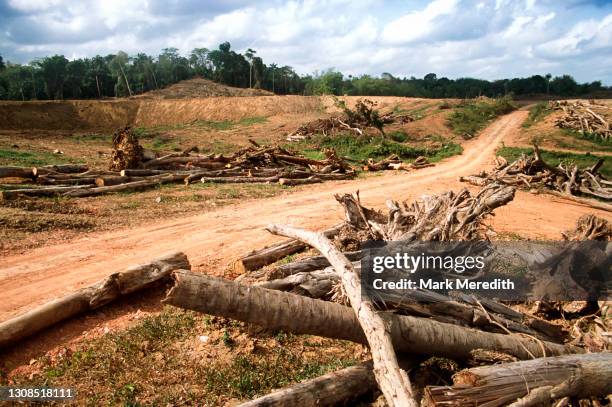 Meredith Stack 20 Meredith Stack Stock Photos, High-Res Pictures, and Images - Getty ...
