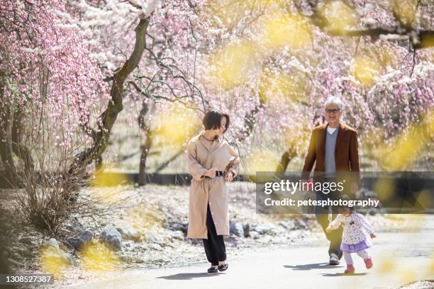 梅花園で孫とのシニアカップル - 花見 ストックフォトと画像