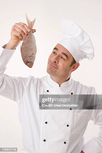 cook holding a gilthead bream - sparus aurata stock pictures, royalty-free photos & images