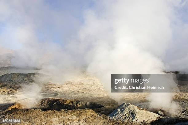 geyser field sol de manana, altiplano, bolivia, south america - southernly stock pictures, royalty-free photos & images