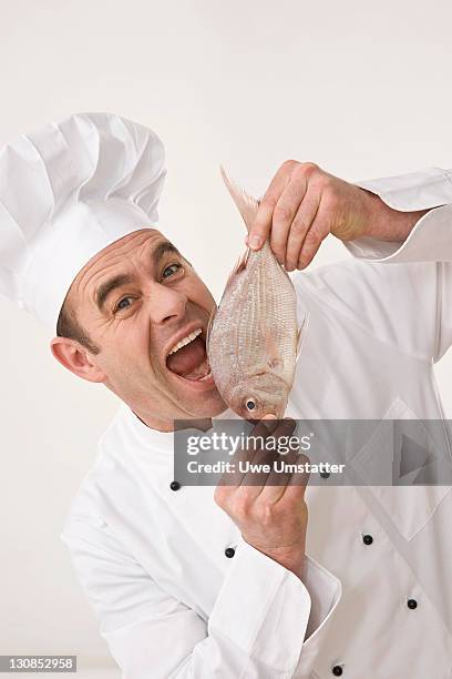 cook biting into a raw fish - sparus aurata stock pictures, royalty-free photos & images