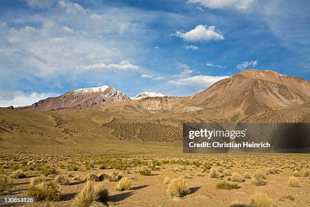 mountain landscape in national park lauca on the way to national park reserva nacional las vicunas, chile, south america - southernly stock pictures, royalty-free photos & images