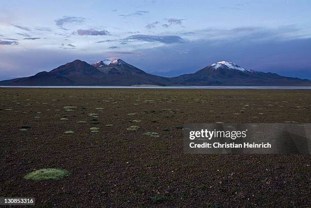 salt lake salar de surire at sundown, national park reserva nacional las vicunas, chile, south america - southernly stock pictures, royalty-free photos & images