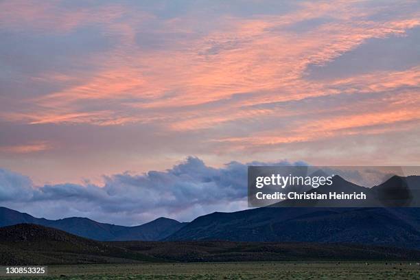 salt lake salar de surire at sundown, national park reserva nacional las vicunas, chile, south america - southernly stock pictures, royalty-free photos & images