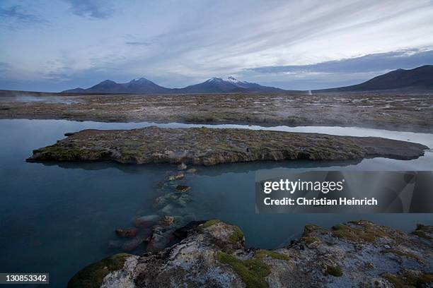 natural thermal springs polloquere at dawn, salt lake salar de surire, national park reserva nacional las vicunas, chile, south america - southernly stock pictures, royalty-free photos & images