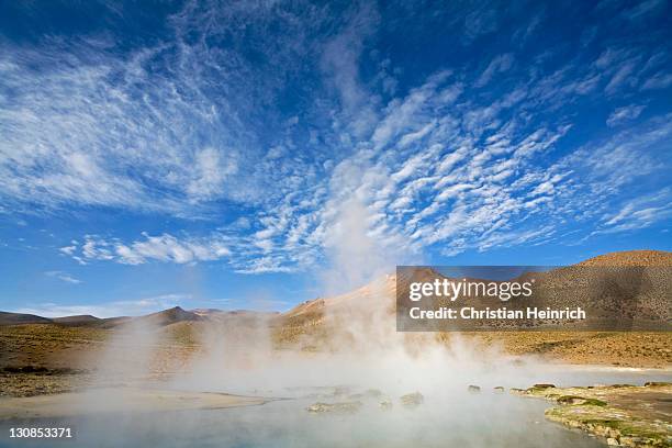 natural thermal springs polloquere, salt lake salar de surire, national park reserva nacional las vicunas, chile, south america - southernly stock pictures, royalty-free photos & images