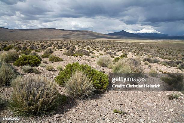 mountain landscape with the twin volcanos parinacota and pomerape, national park lauca, chile, south america - southernly stock pictures, royalty-free photos & images