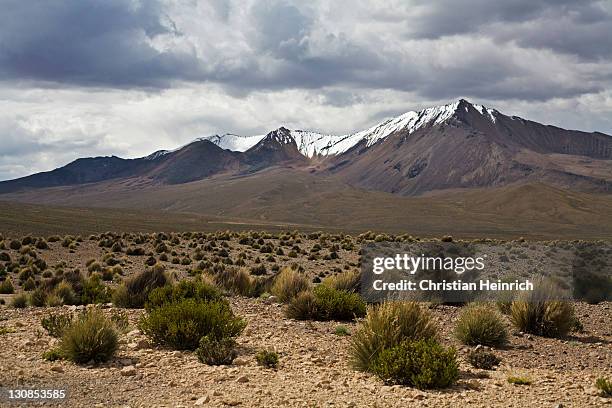 mountain landscape, national park lauca, chile, south america - southernly stock pictures, royalty-free photos & images