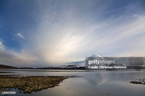 vulcan parinacota at dawn on lake lago chungara, national park lauca, chile, south america - southernly stock pictures, royalty-free photos & images