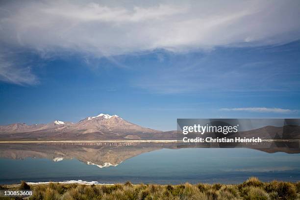 mountain landscape with flamingos (phoenicoparrus), salt lake salar de surire, national park reserva nacional las vicunas, chile, south america - southernly stock pictures, royalty-free photos & images