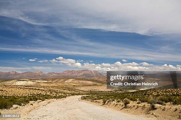 mountain landscape with the road from national park reserva nacional las vicunas to national park lauca, chile, south america - southernly stock pictures, royalty-free photos & images