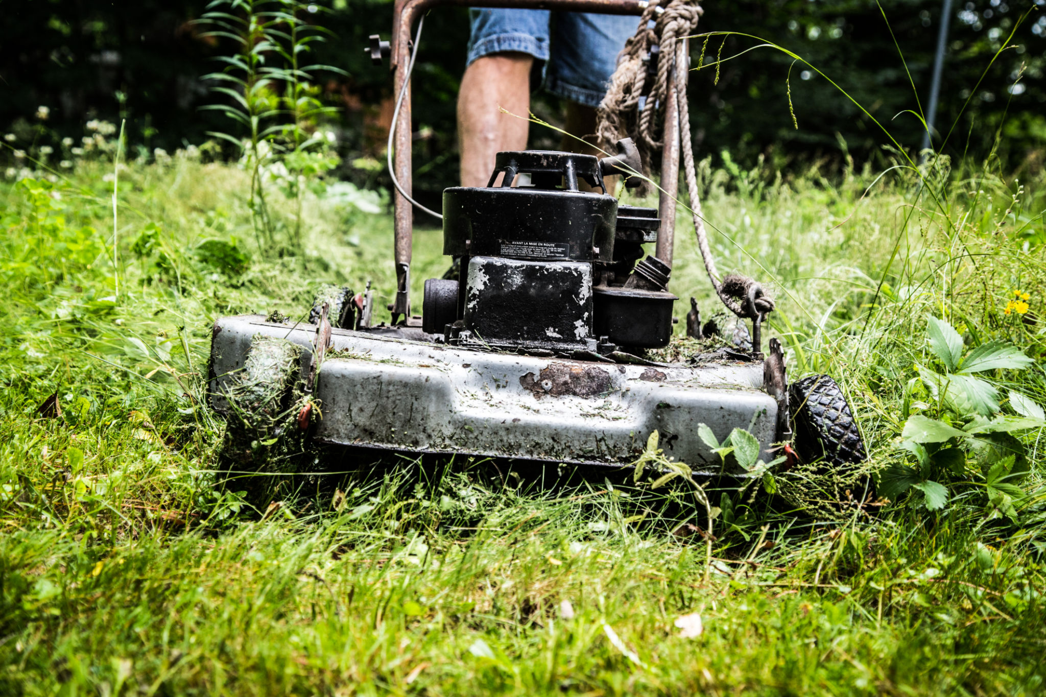 lawnmower in action