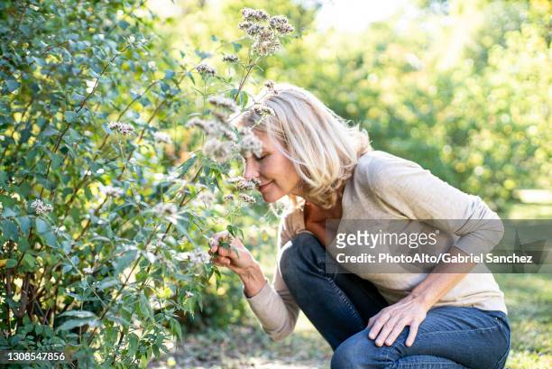 smiling mature woman smelling flowers in backyard - adult woman garden flower stock pictures, royalty-free photos & images