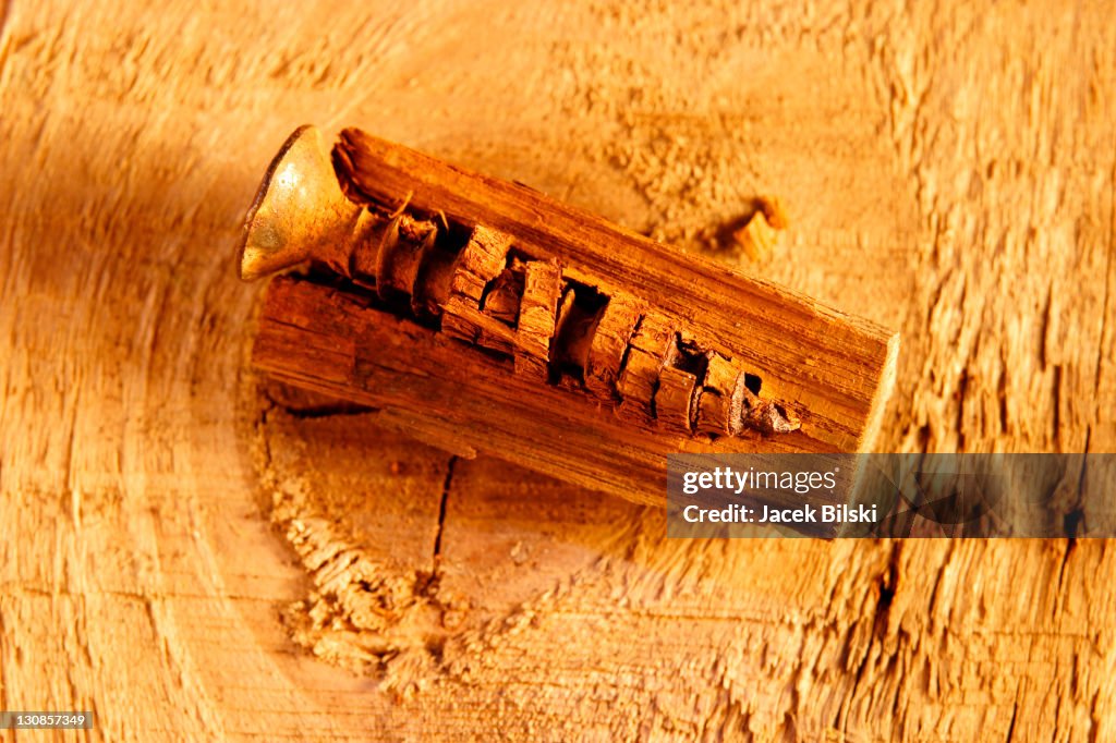 Screw in wood