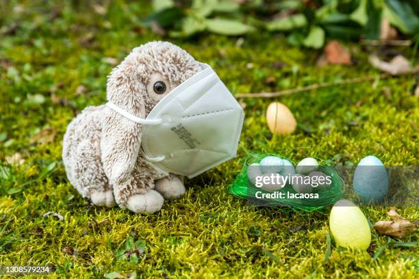 easter bunny with surgical mask - easter bunny mask fotografías e imágenes de stock