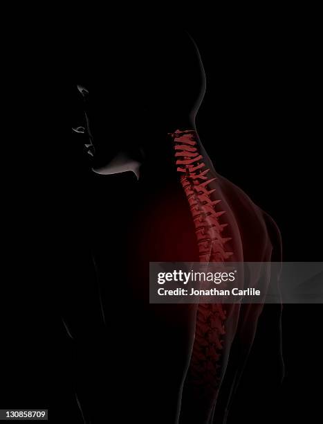 Backbone Men Illustration Of Man And Backbone High-Res Vector Graphic - Getty Images