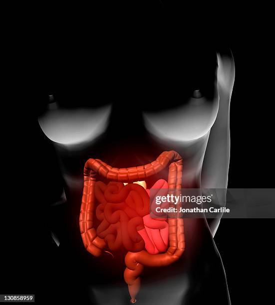 Viscmes Vector 66 Viscus Stock Photos, High-Res Pictures, and Images - Getty Images
