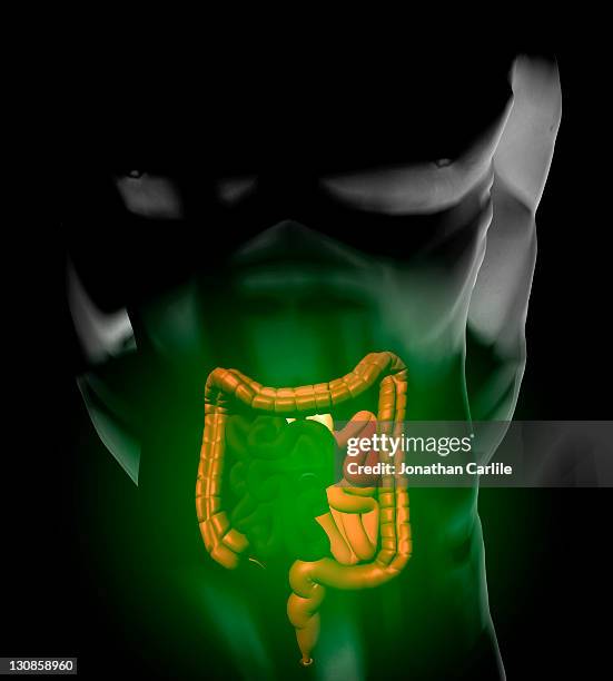Viscmes Vector 66 Viscus Stock Photos, High-Res Pictures, and Images - Getty Images